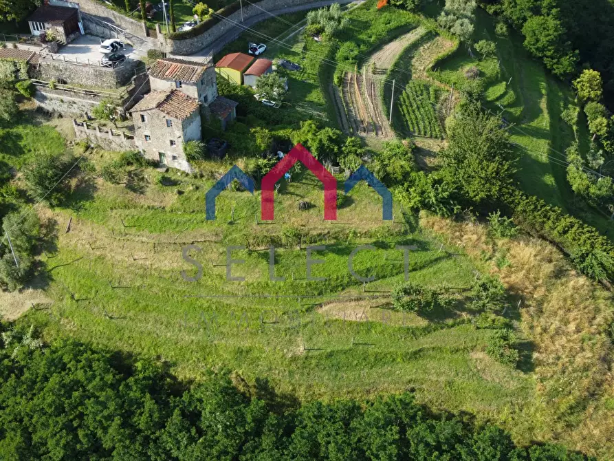 Immagine 6 di Rustico / casale in vendita  a Coreglia Antelminelli