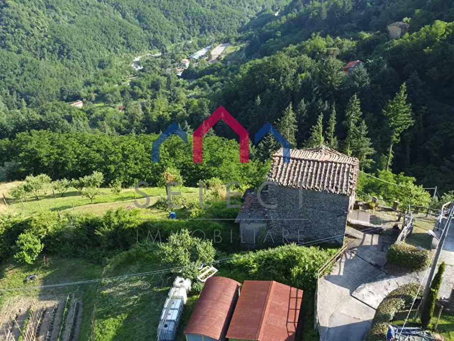 Immagine 21 di Rustico / casale in vendita  a Coreglia Antelminelli