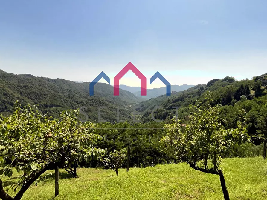 Immagine 68 di Rustico / casale in vendita  a Coreglia Antelminelli