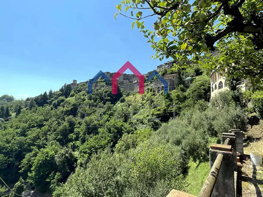 Immagine 61 di Rustico / casale in vendita  a Coreglia Antelminelli