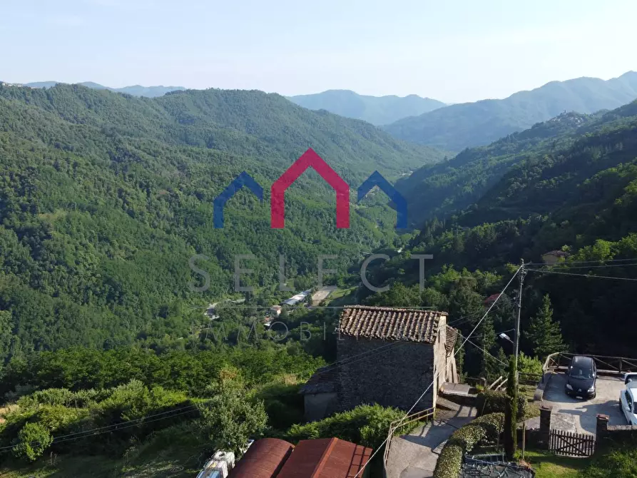 Immagine 25 di Rustico / casale in vendita  a Coreglia Antelminelli