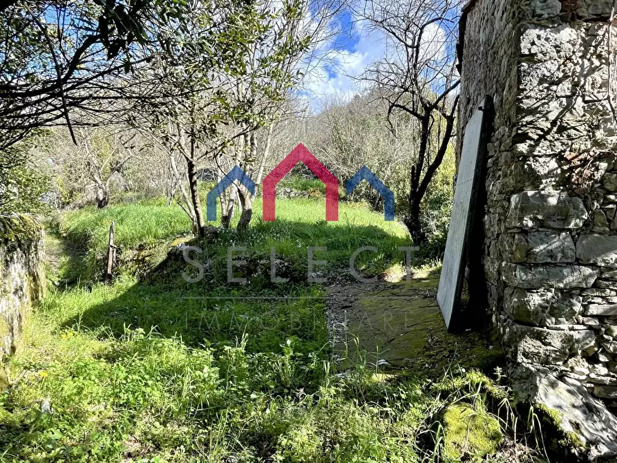 Immagine 33 di Rustico / casale in vendita  a Pescaglia