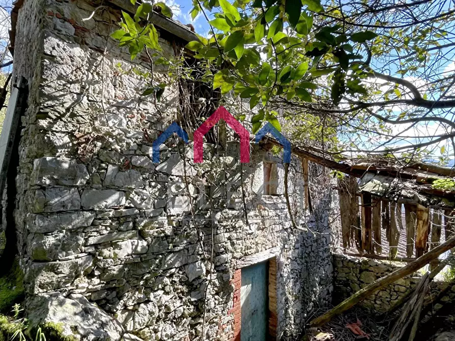 Immagine 8 di Rustico / casale in vendita  a Pescaglia