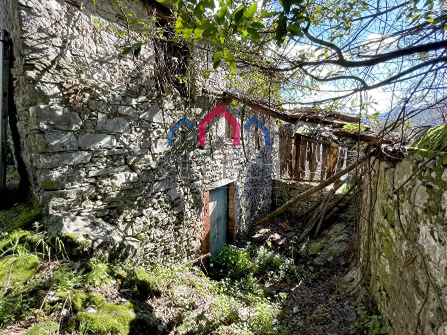 Immagine 10 di Rustico / casale in vendita  a Pescaglia