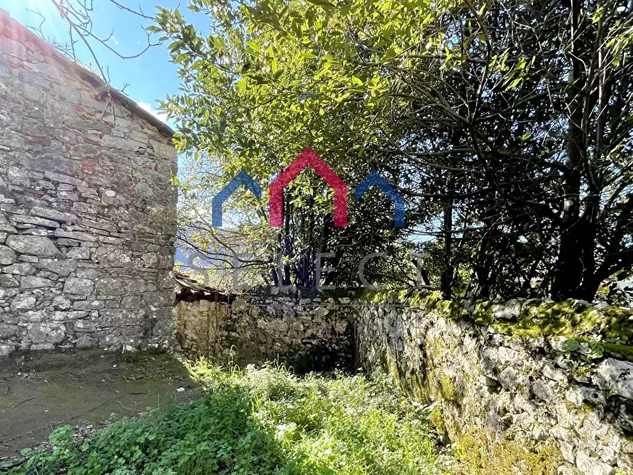 Immagine 11 di Rustico / casale in vendita  a Pescaglia