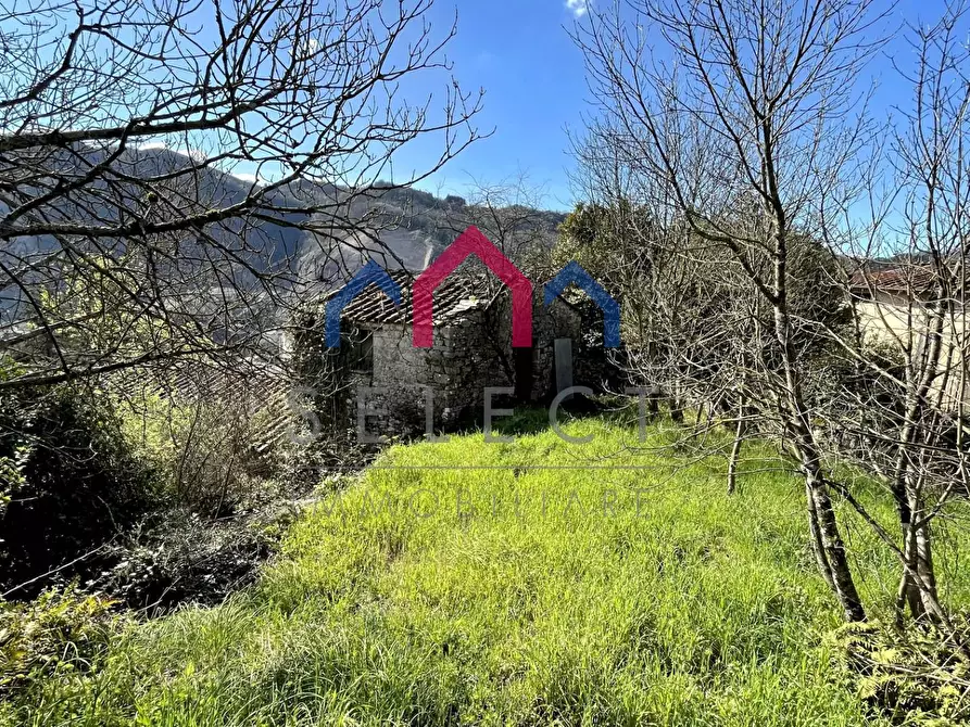 Immagine 32 di Rustico / casale in vendita  a Pescaglia