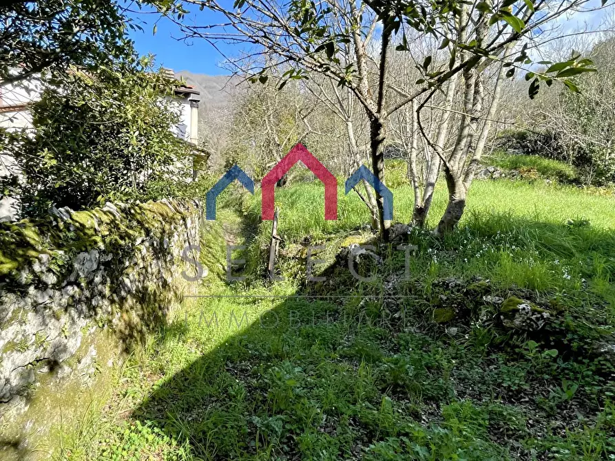 Immagine 27 di Rustico / casale in vendita  a Pescaglia