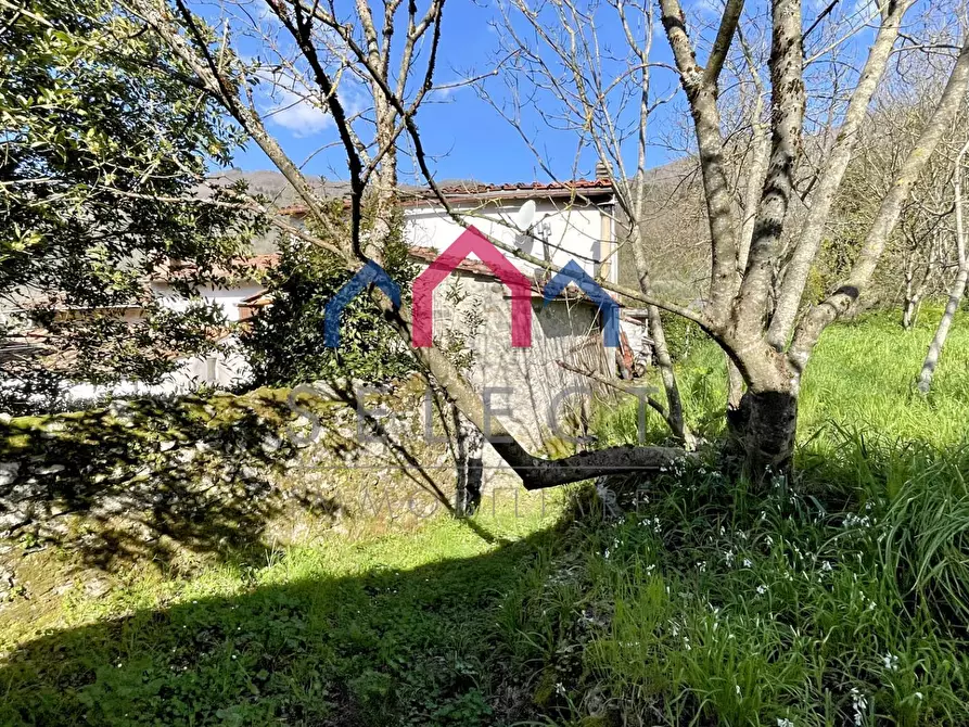 Immagine 4 di Rustico / casale in vendita  a Pescaglia