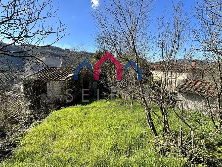Immagine 23 di Rustico / casale in vendita  a Pescaglia