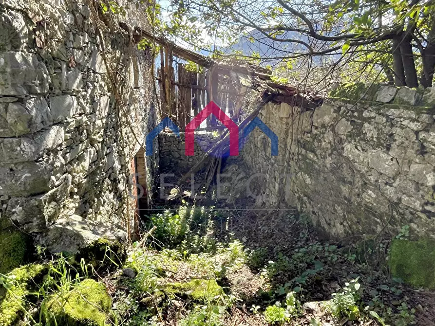 Immagine 30 di Rustico / casale in vendita  a Pescaglia