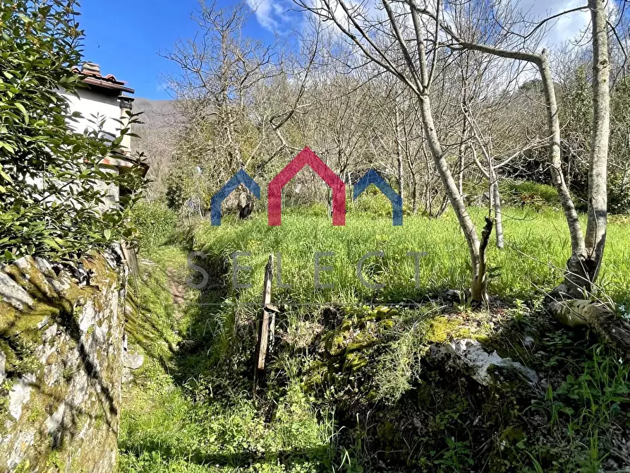 Immagine 34 di Rustico / casale in vendita  a Pescaglia
