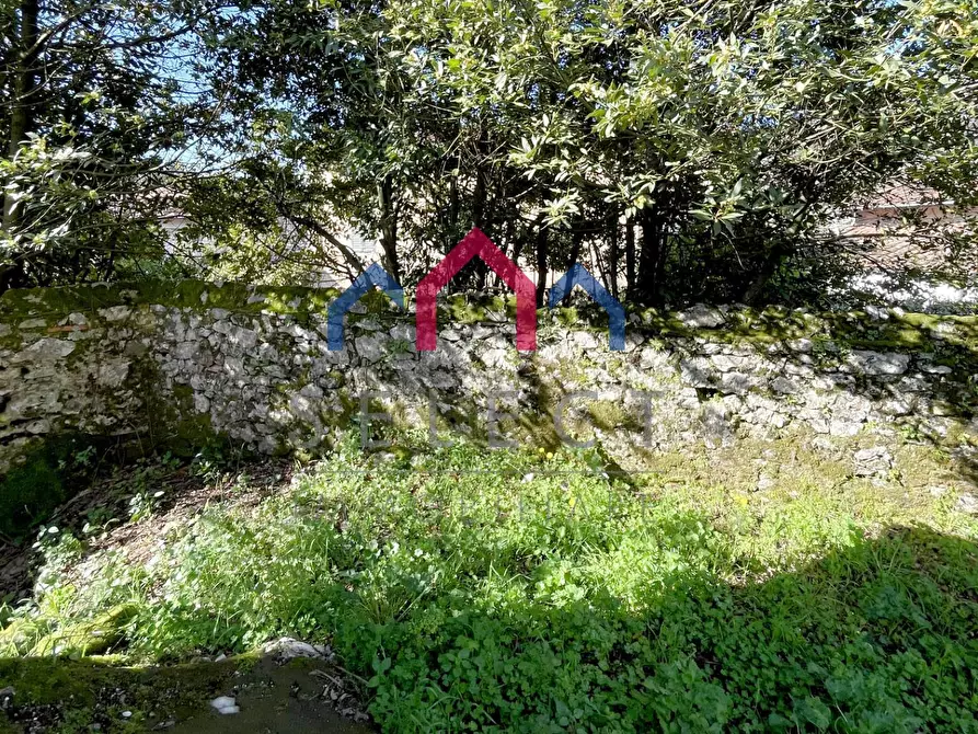 Immagine 12 di Rustico / casale in vendita  a Pescaglia