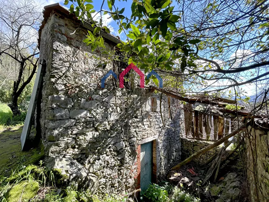 Immagine 6 di Rustico / casale in vendita  a Pescaglia