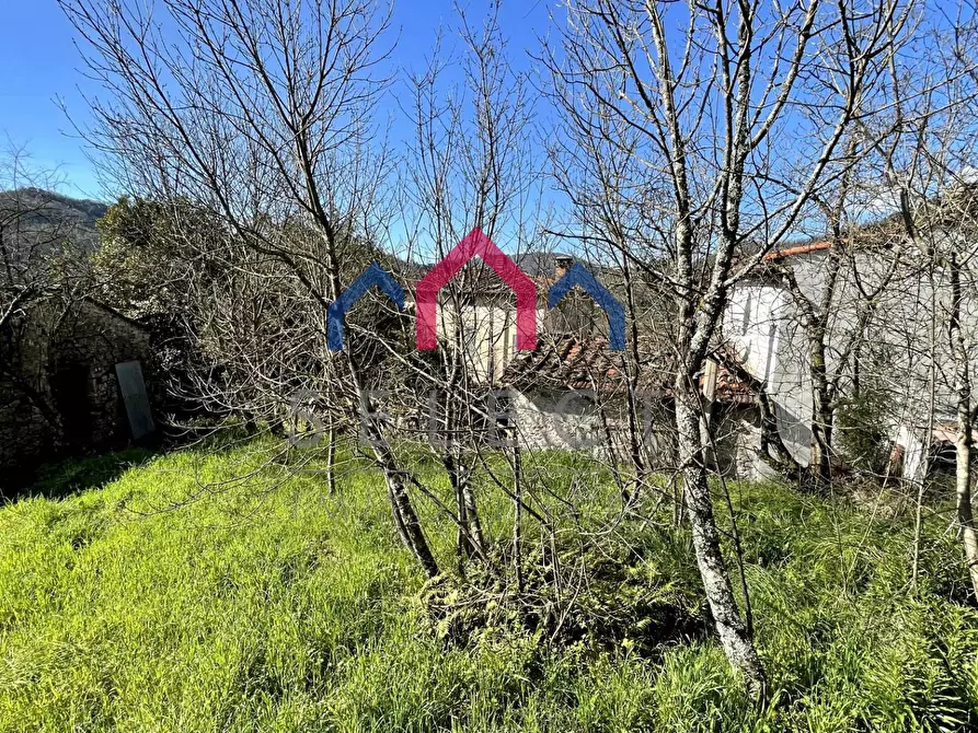 Immagine 24 di Rustico / casale in vendita  a Pescaglia