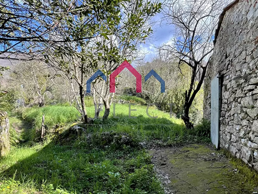 Immagine 5 di Rustico / casale in vendita  a Pescaglia
