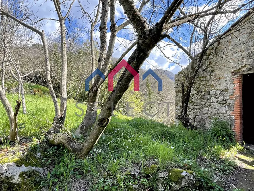 Immagine 29 di Rustico / casale in vendita  a Pescaglia