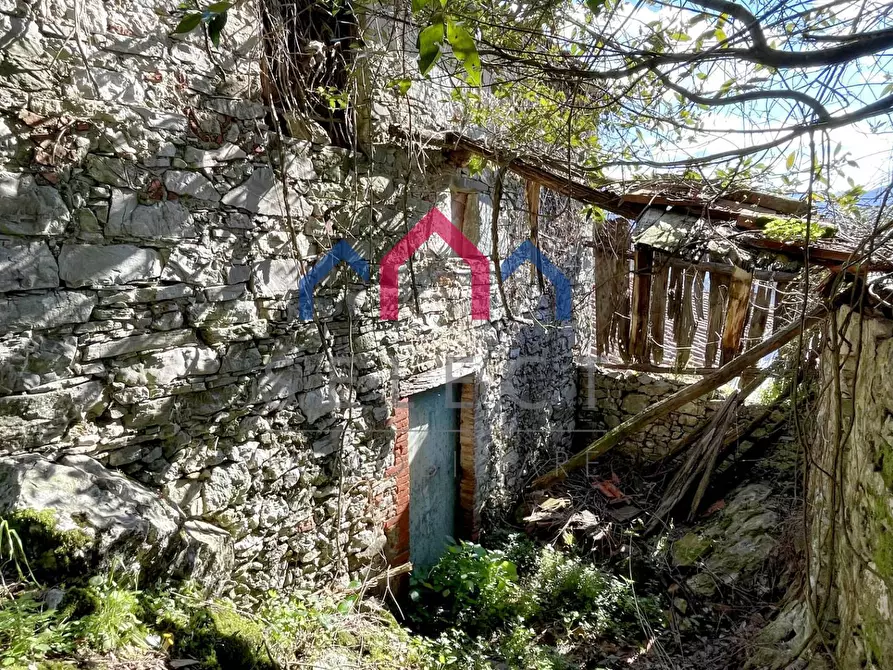 Immagine 7 di Rustico / casale in vendita  a Pescaglia