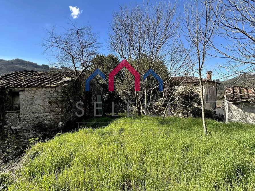 Immagine 31 di Rustico / casale in vendita  a Pescaglia