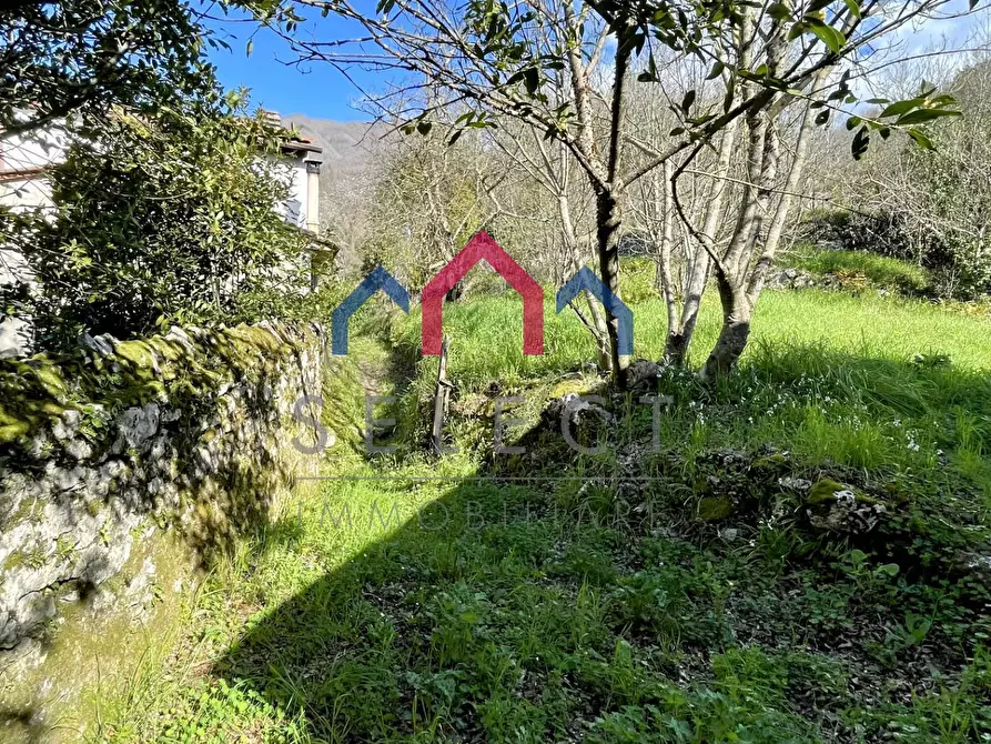 Immagine 2 di Rustico / casale in vendita  a Pescaglia