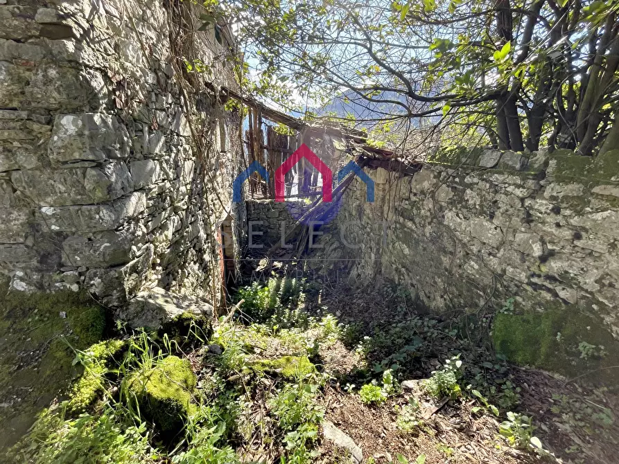 Immagine 13 di Rustico / casale in vendita  a Pescaglia