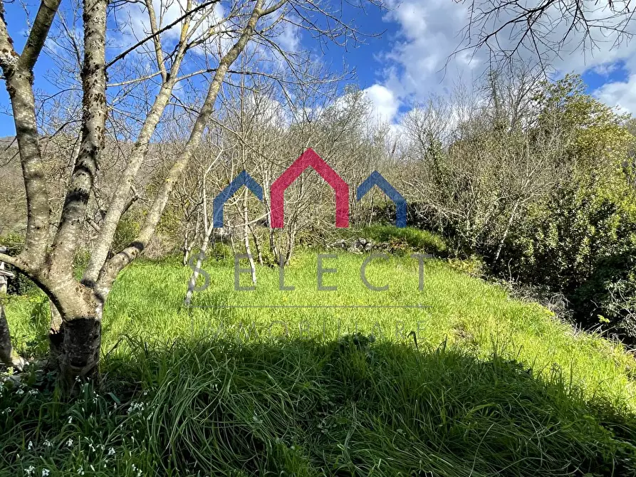 Immagine 3 di Rustico / casale in vendita  a Pescaglia