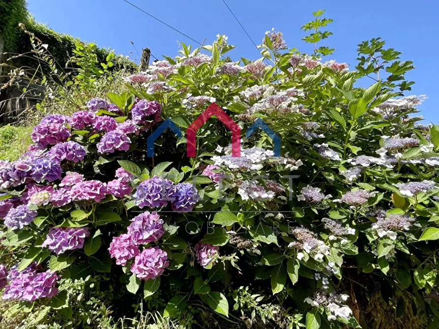 Immagine 2 di Terratetto in vendita  a Borgo A Mozzano