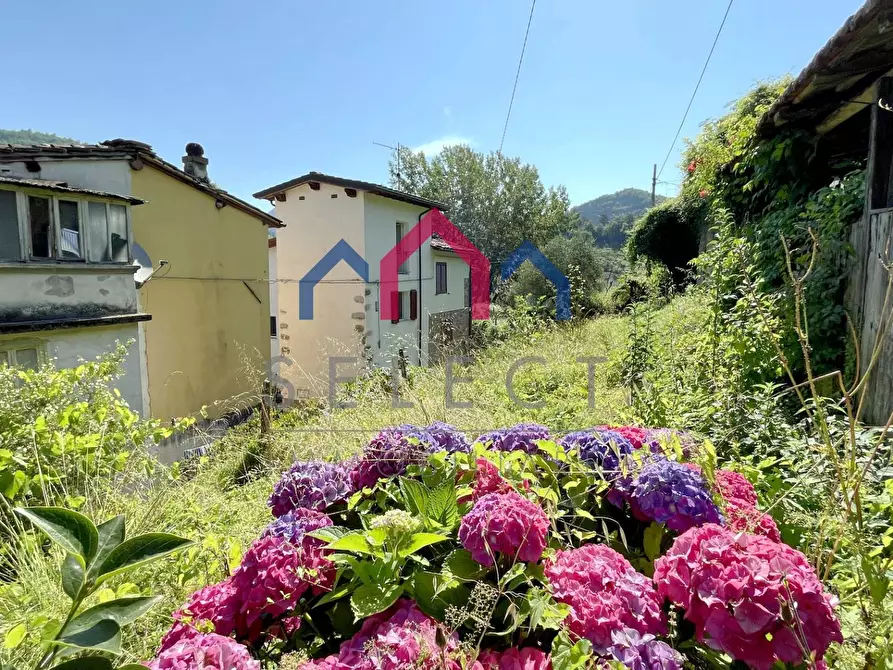 Immagine 28 di Terratetto in vendita  a Borgo A Mozzano