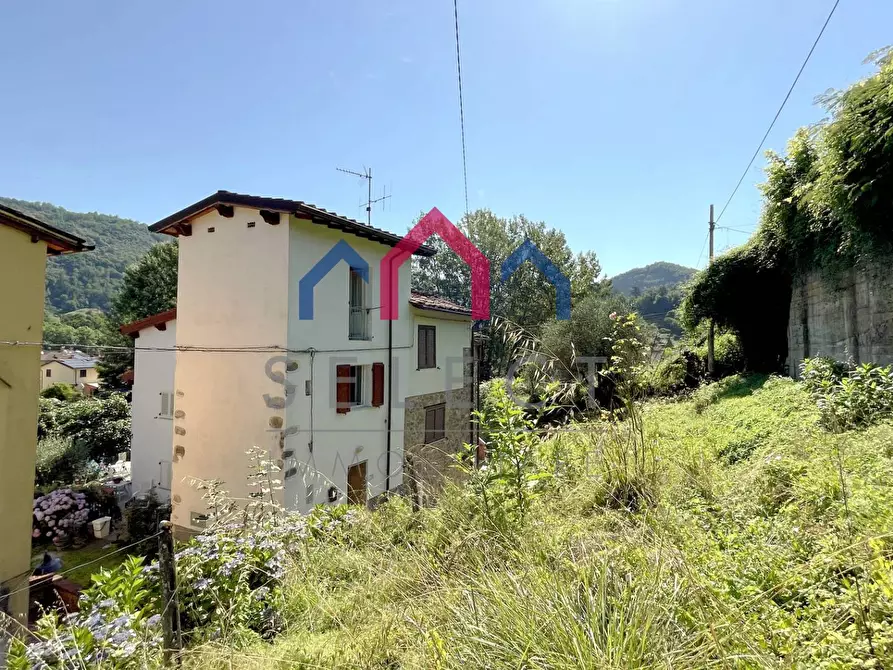 Immagine 30 di Terratetto in vendita  a Borgo A Mozzano