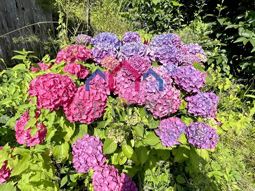 Immagine 29 di Terratetto in vendita  a Borgo A Mozzano
