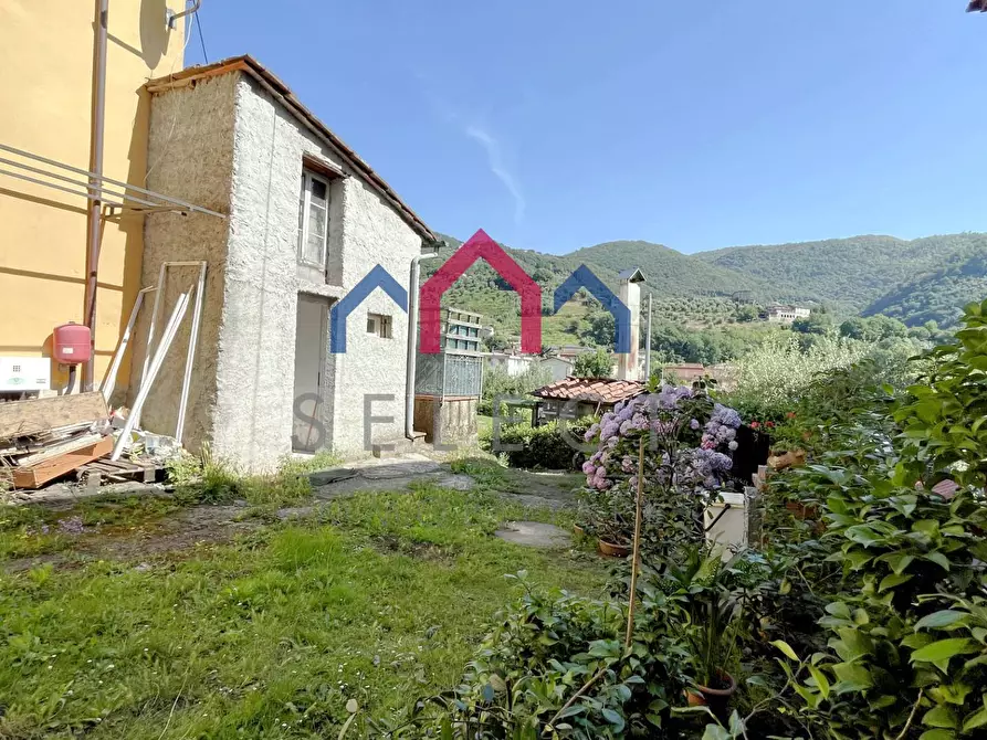 Immagine 19 di Terratetto in vendita  a Borgo A Mozzano