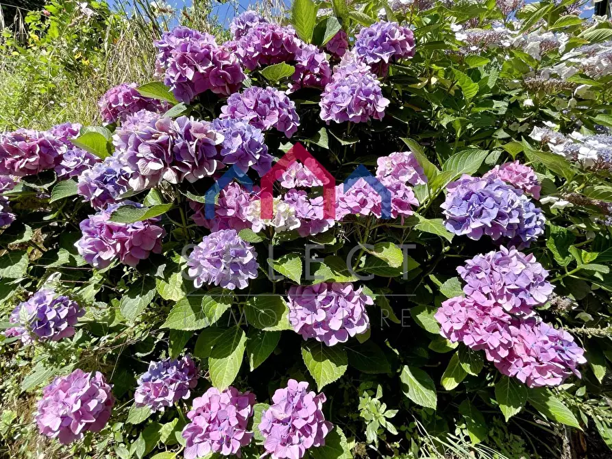 Immagine 31 di Terratetto in vendita  a Borgo A Mozzano