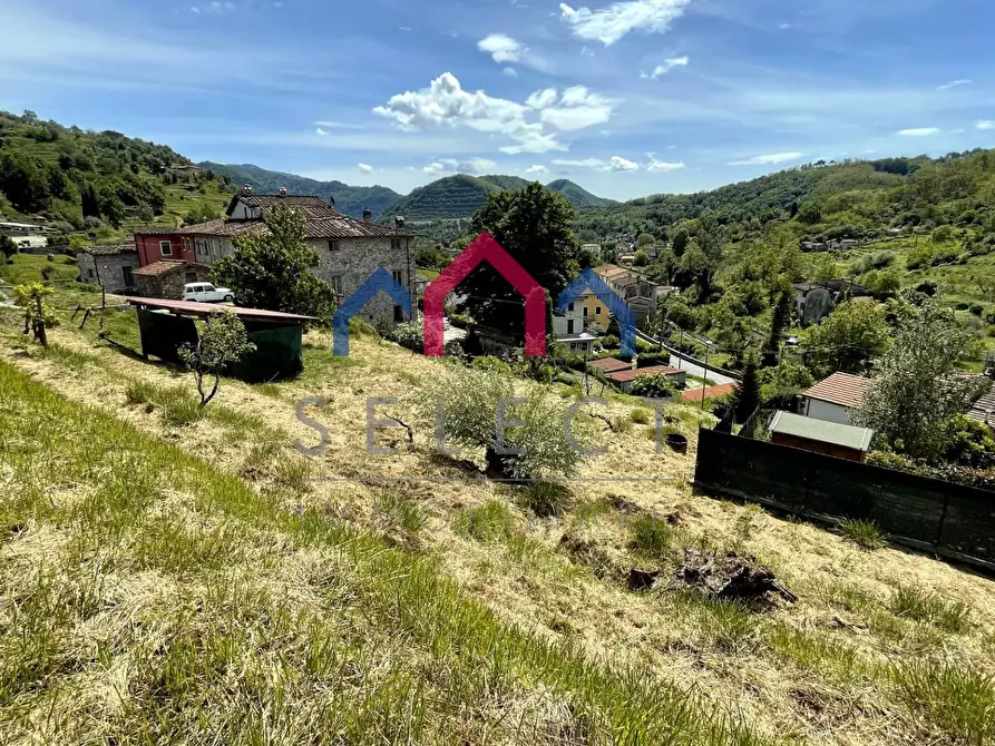 Immagine 71 di Rustico / casale in vendita  a Borgo A Mozzano