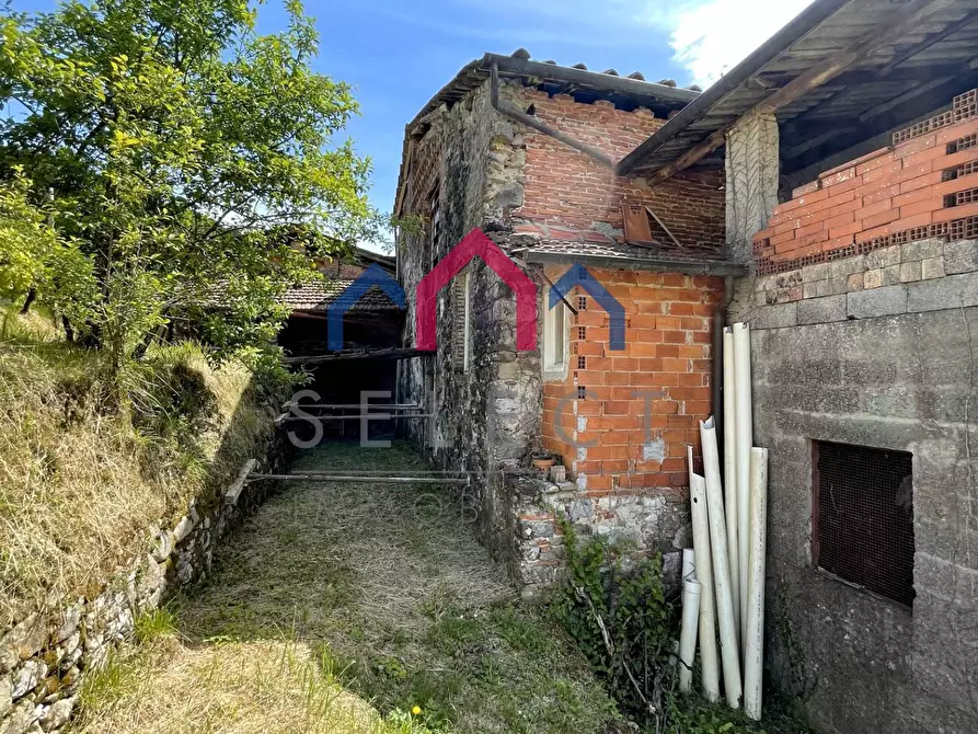 Immagine 53 di Rustico / casale in vendita  a Borgo A Mozzano