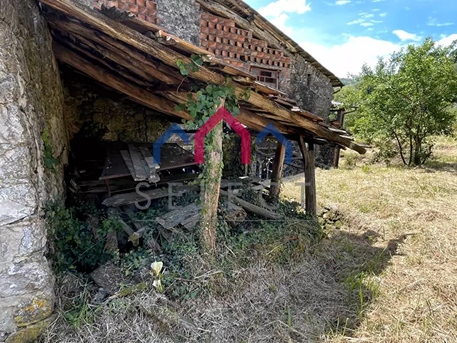 Immagine 50 di Rustico / casale in vendita  a Borgo A Mozzano