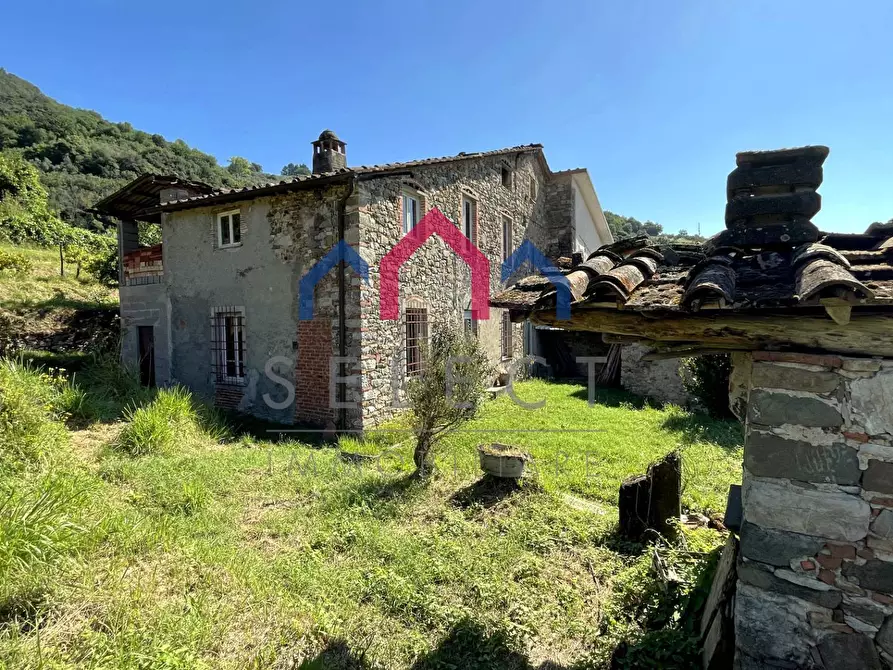 Immagine 66 di Rustico / casale in vendita  a Borgo A Mozzano