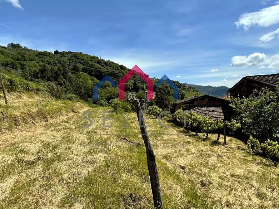 Immagine 56 di Rustico / casale in vendita  a Borgo A Mozzano