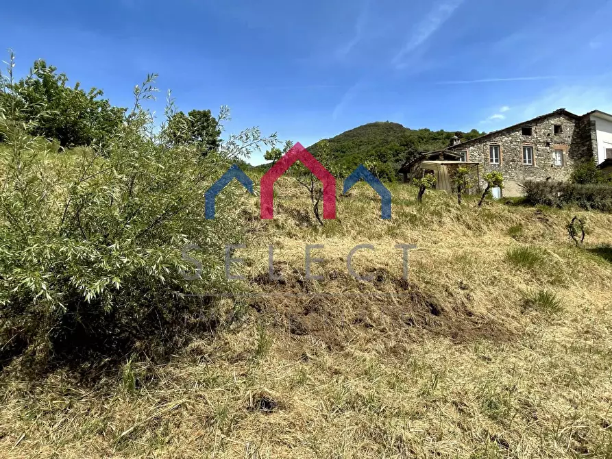 Immagine 73 di Rustico / casale in vendita  a Borgo A Mozzano