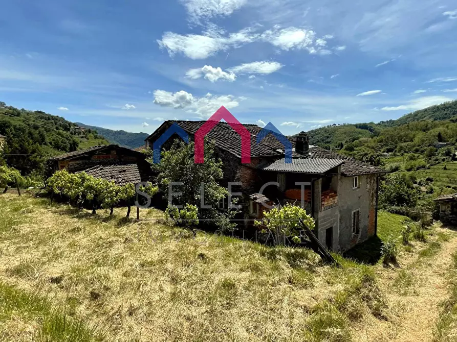 Immagine 57 di Rustico / casale in vendita  a Borgo A Mozzano