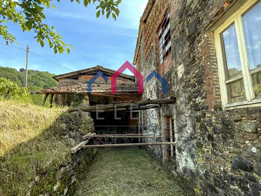 Immagine 52 di Rustico / casale in vendita  a Borgo A Mozzano