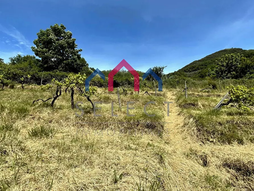 Immagine 59 di Rustico / casale in vendita  a Borgo A Mozzano