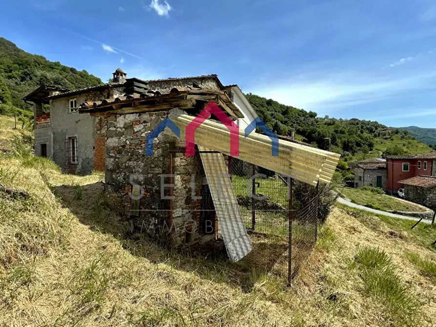 Immagine 70 di Rustico / casale in vendita  a Borgo A Mozzano