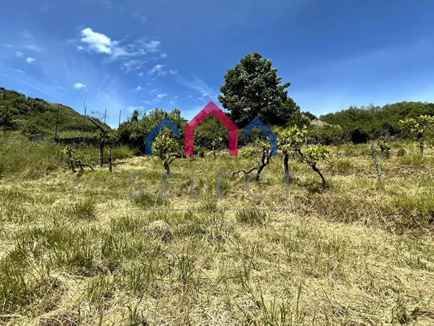 Immagine 60 di Rustico / casale in vendita  a Borgo A Mozzano