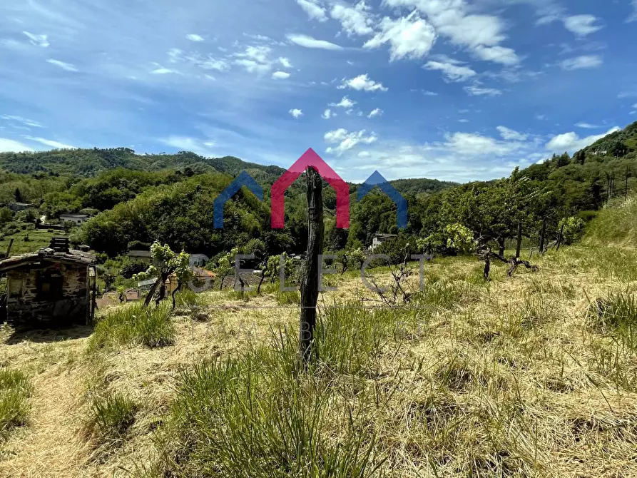 Immagine 62 di Rustico / casale in vendita  a Borgo A Mozzano