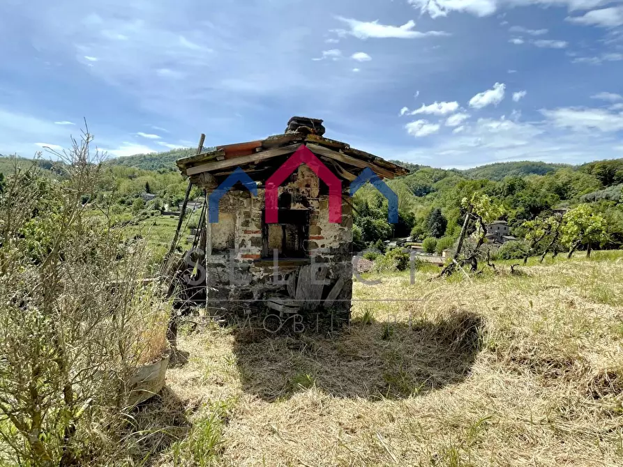 Immagine 9 di Rustico / casale in vendita  a Borgo A Mozzano