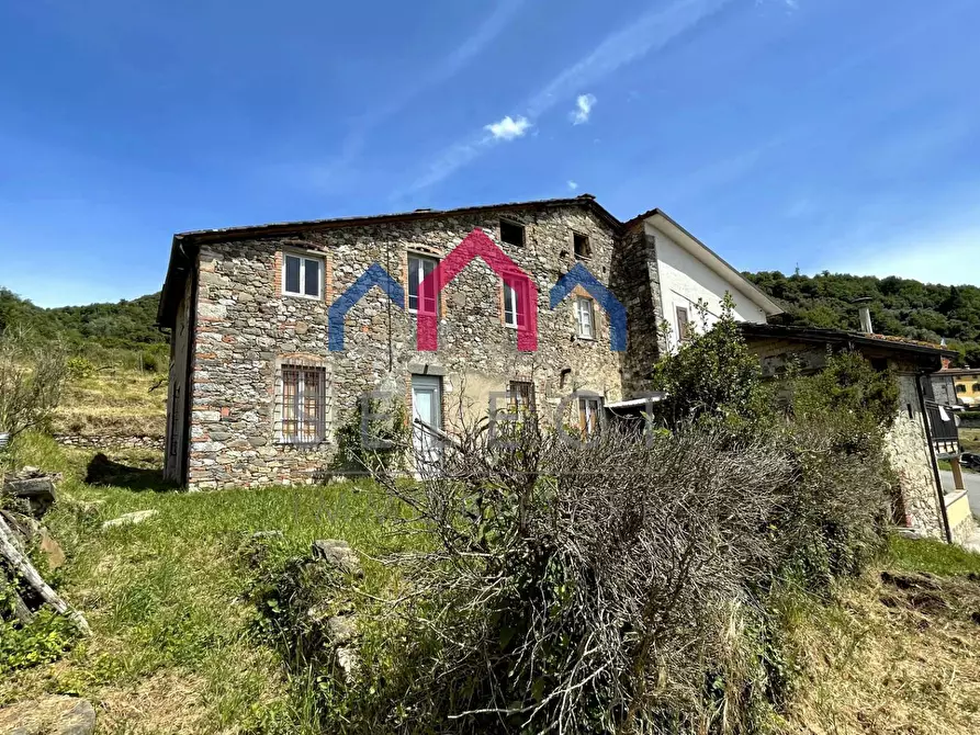 Immagine 3 di Rustico / casale in vendita  a Borgo A Mozzano
