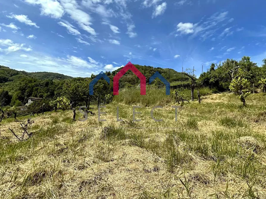 Immagine 61 di Rustico / casale in vendita  a Borgo A Mozzano