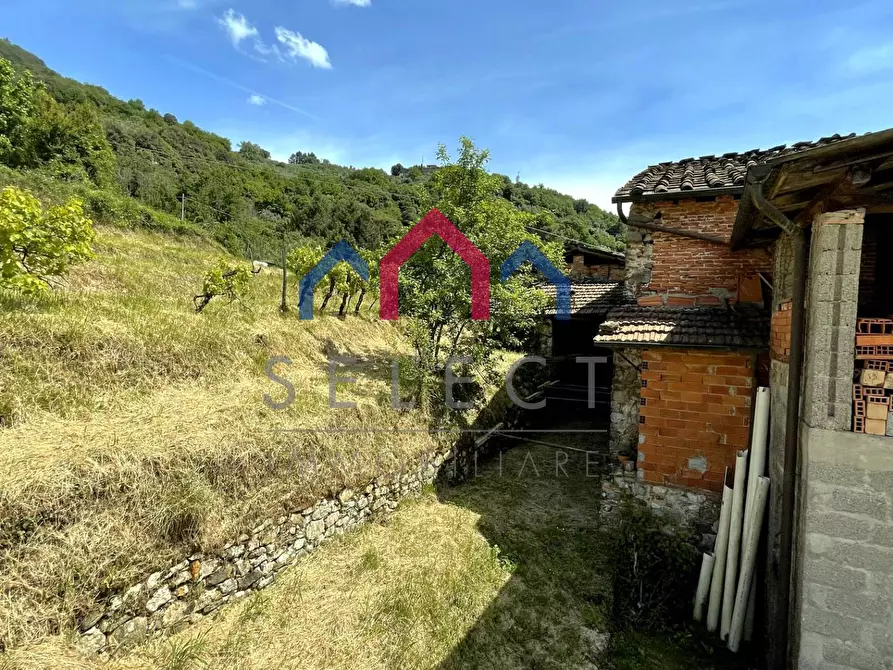 Immagine 58 di Rustico / casale in vendita  a Borgo A Mozzano
