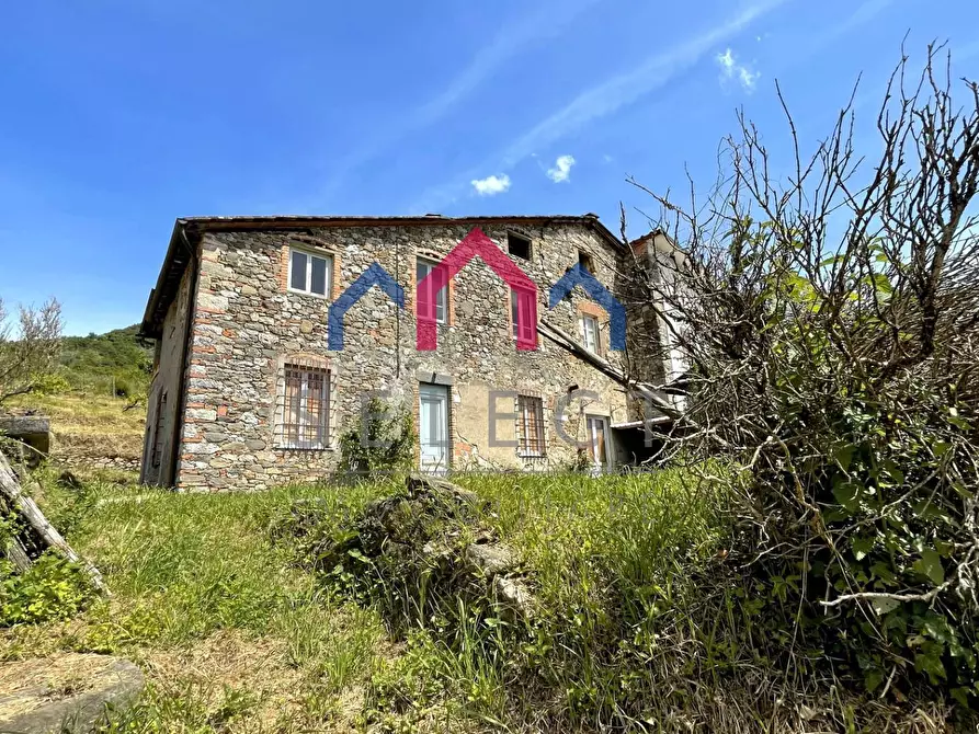 Immagine 65 di Rustico / casale in vendita  a Borgo A Mozzano