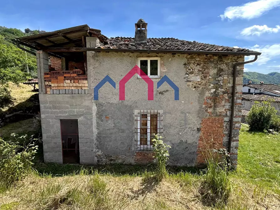 Immagine 54 di Rustico / casale in vendita  a Borgo A Mozzano