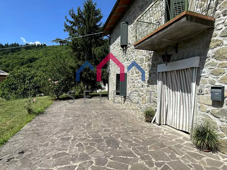 Immagine 9 di Rustico / casale in vendita  a Piazza Al Serchio